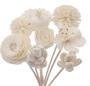 Floare de lemn Sola